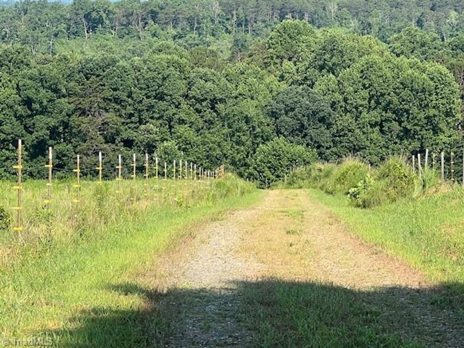 Image for Land For Sale in Mount Airy - 000 Potts Road