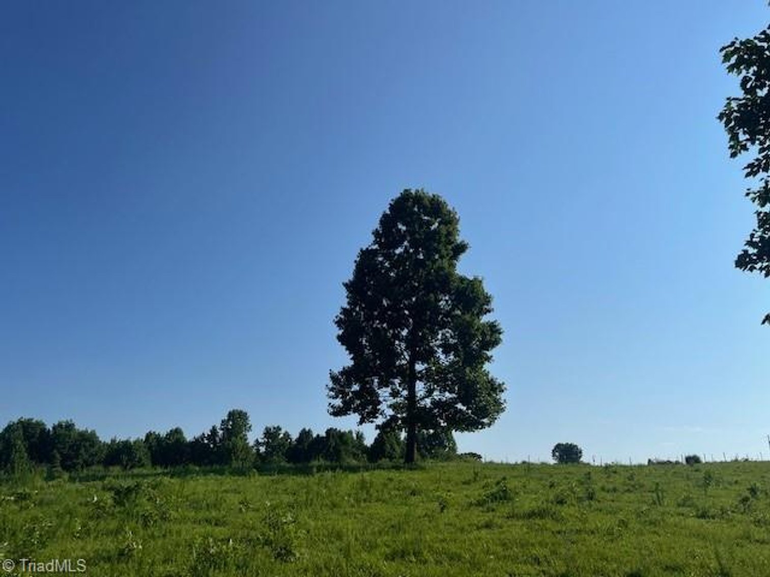 Image for Land For Sale in Mount Airy - 000 Potts Road