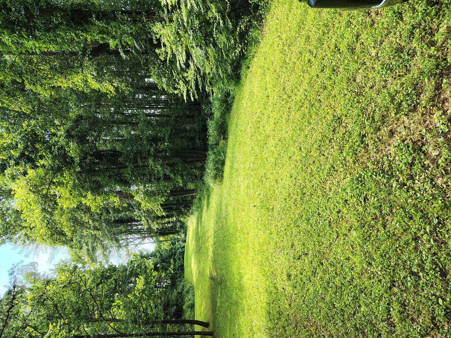 Image for Land For Sale in Ararat, Virginia - 0000 Ararat