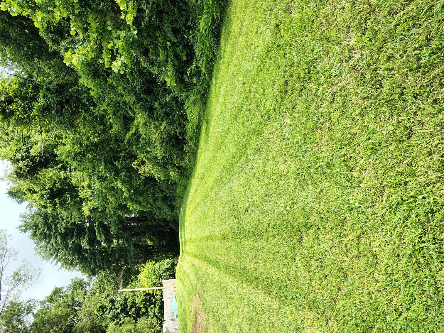 Image for Land For Sale in Ararat, Virginia - 0000 Ararat