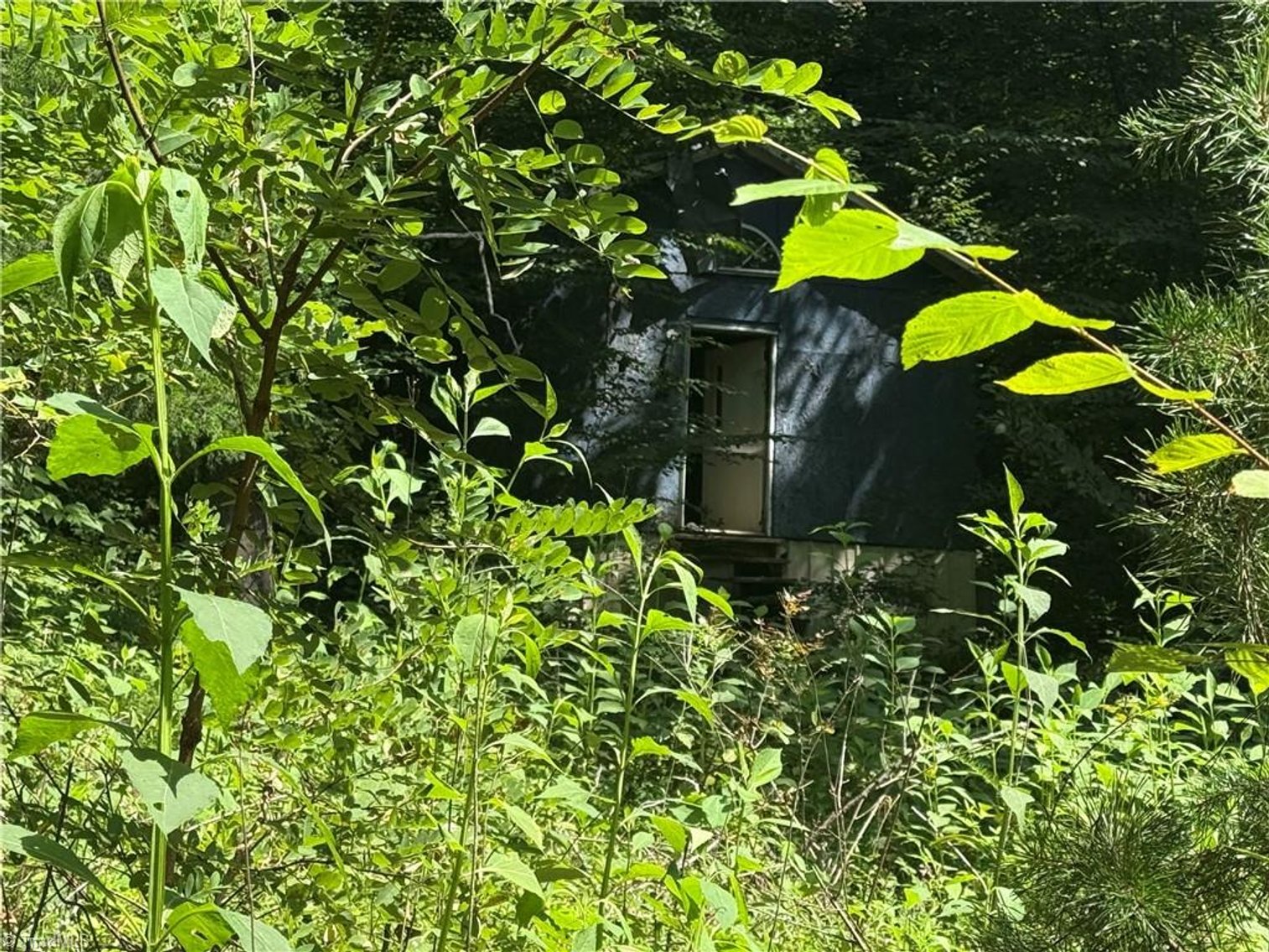 Image for Land For Sale in Cana, Virginia - 24 Copperhead Road