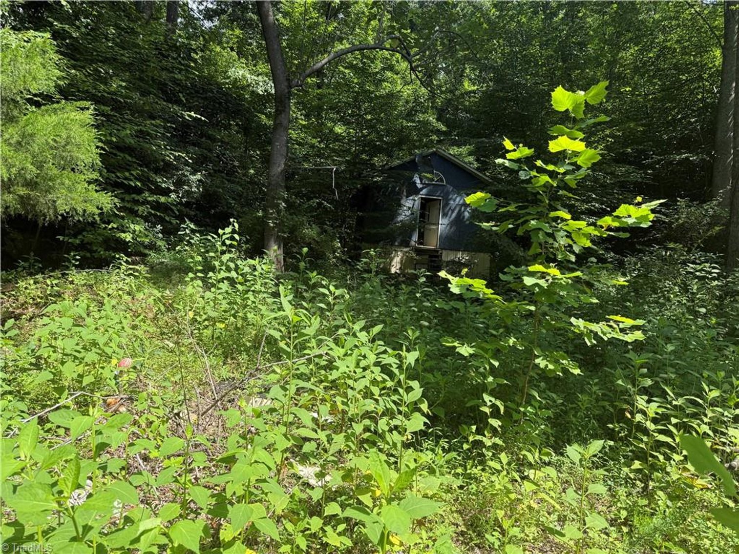 Image for Land For Sale in Cana, Virginia - 24 Copperhead Road