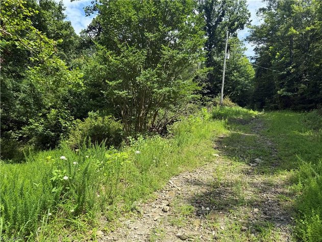 Land For Sale in Cana, Virginia - 24 Copperhead Road