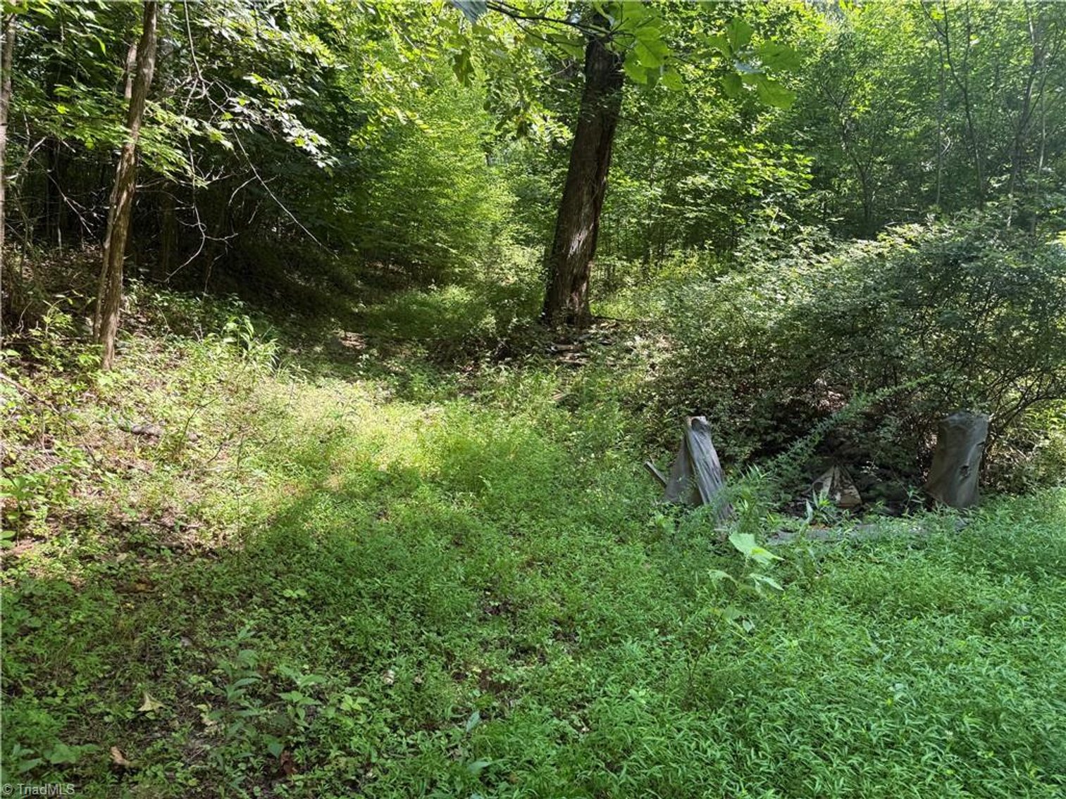 Image for Land For Sale in Cana, Virginia - 24 Copperhead Road