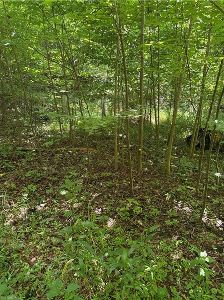 Image for Land For Sale in Cana, Virginia - 24 Copperhead Road