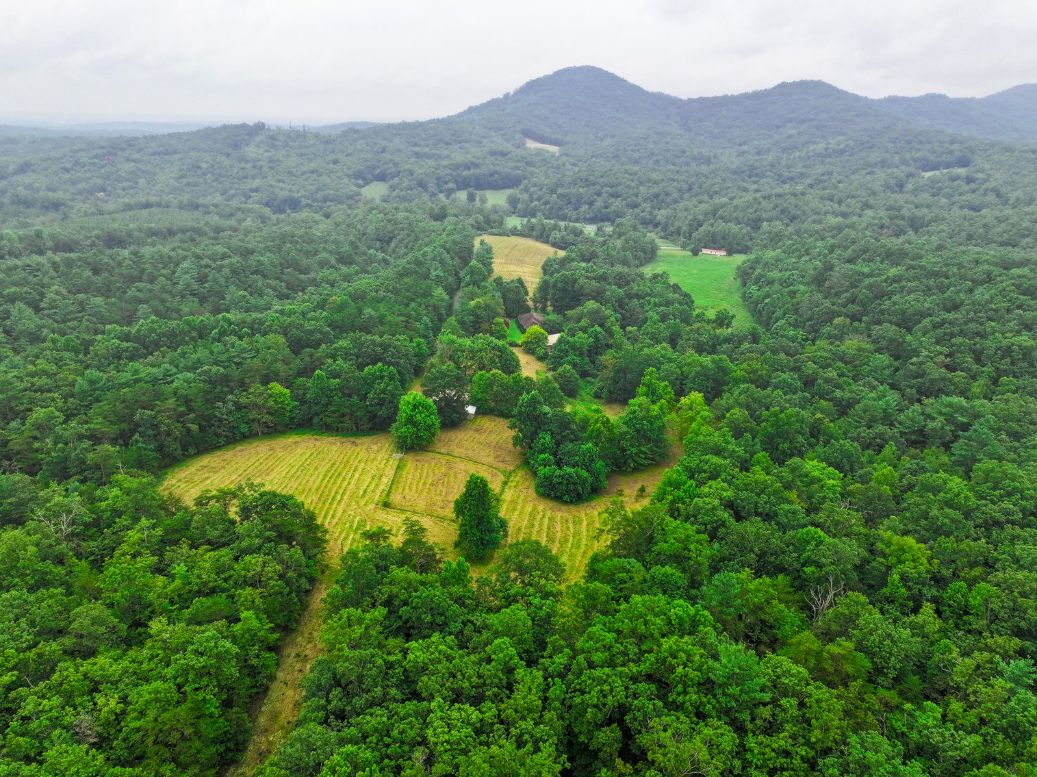Image for Brick Ranch Home on 22± Acres in Lowgap, NC