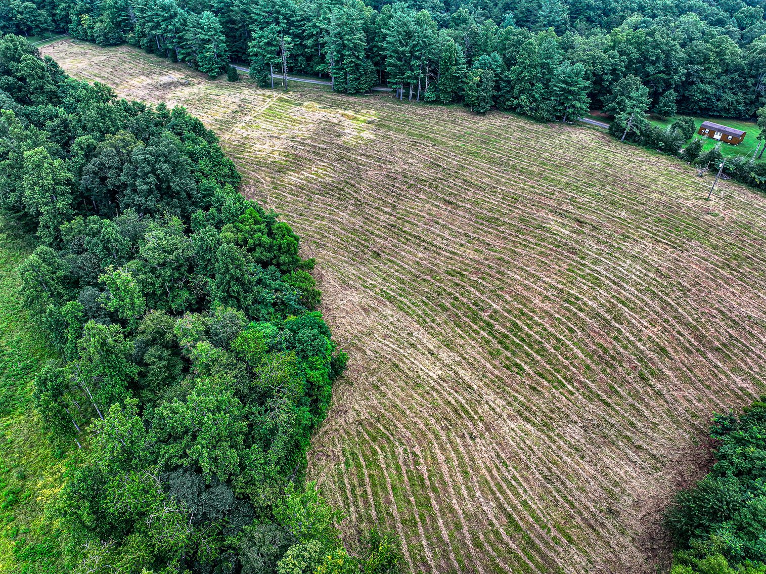 Image for Brick Ranch Home on 22± Acres in Lowgap, NC