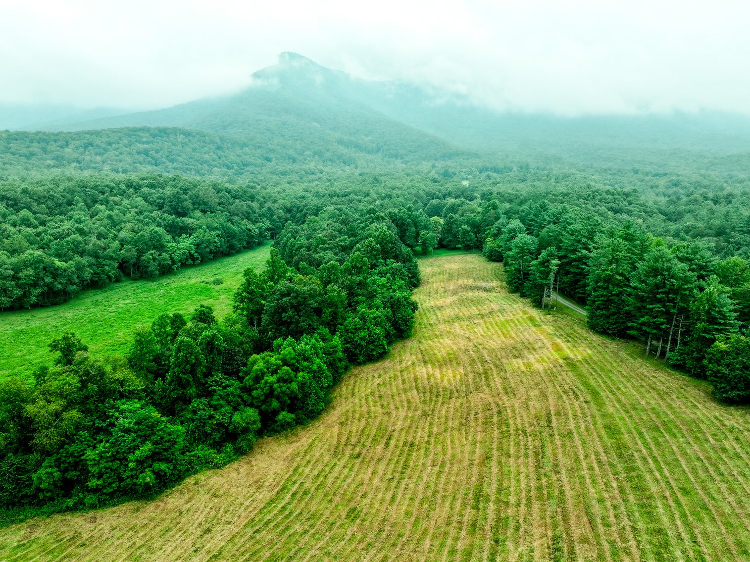 Image for Brick Ranch Home on 22± Acres in Lowgap, NC