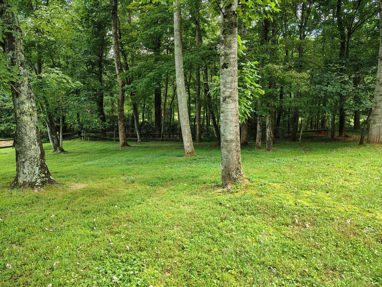 Image for Brick Ranch Home on 22± Acres in Lowgap, NC