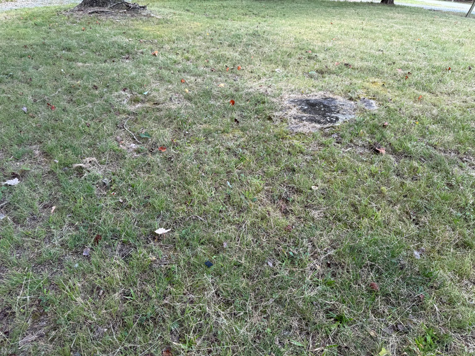 Image for US Marshals Service Auction - Doublewide Home on 0.92± Acres in Asheboro, NC