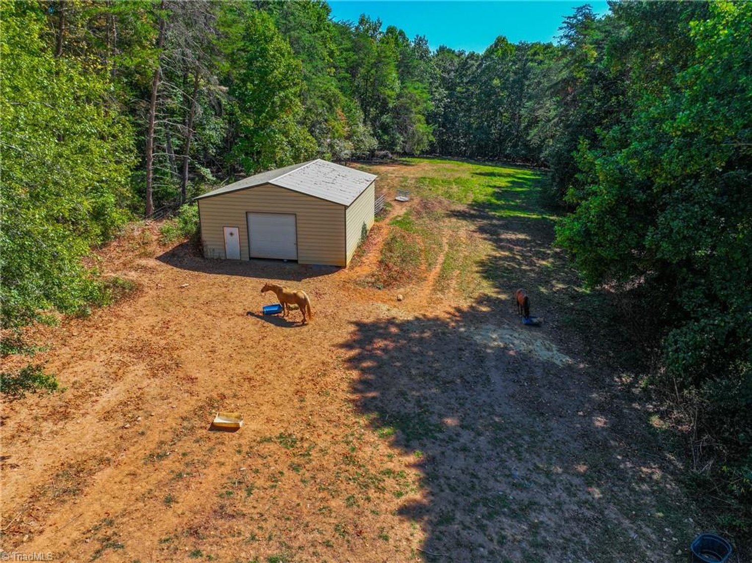 Image for Land For Sale in Dobson - 00 White Dirt Road