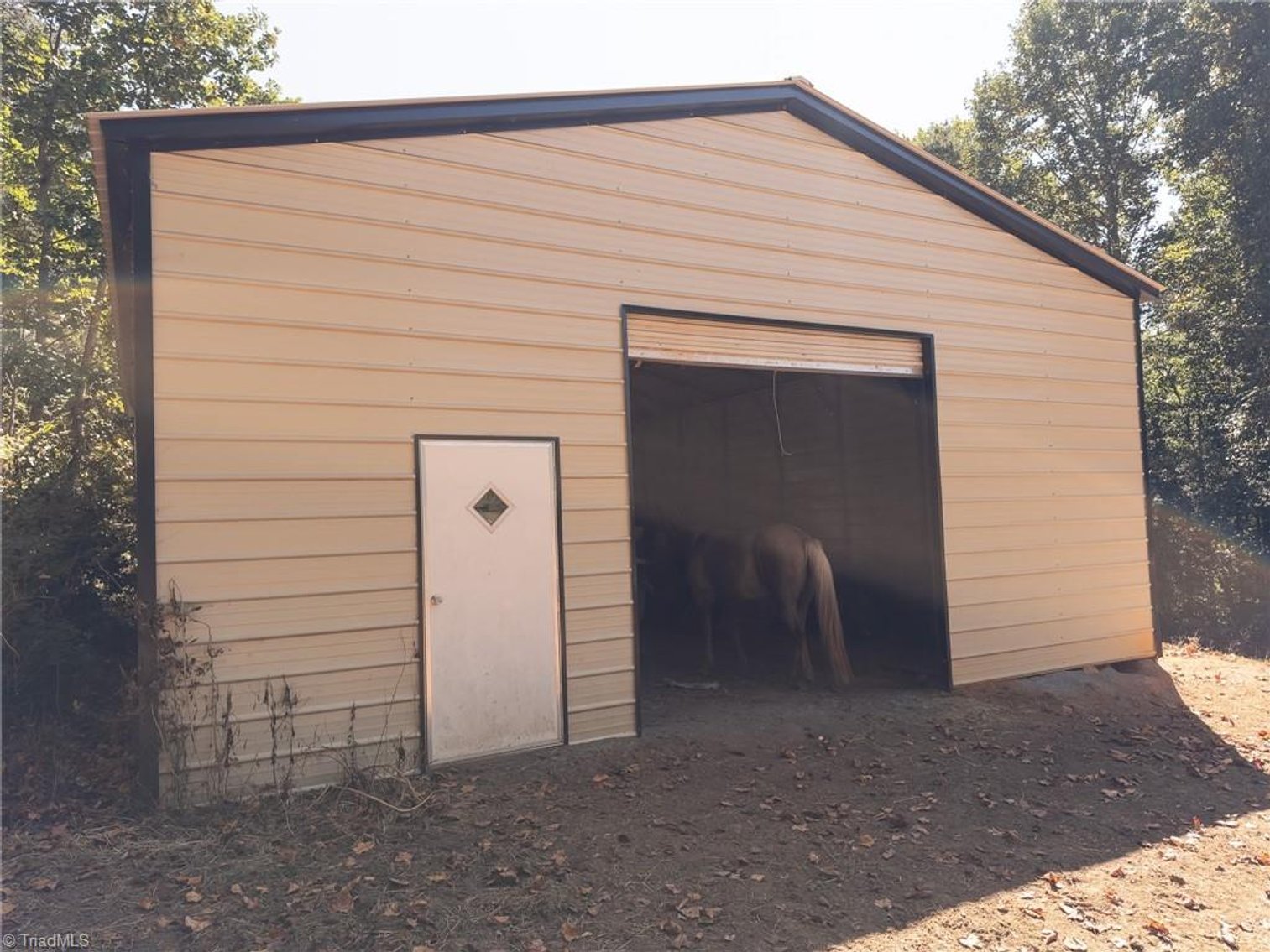 Image for Land For Sale in Dobson - 00 White Dirt Road