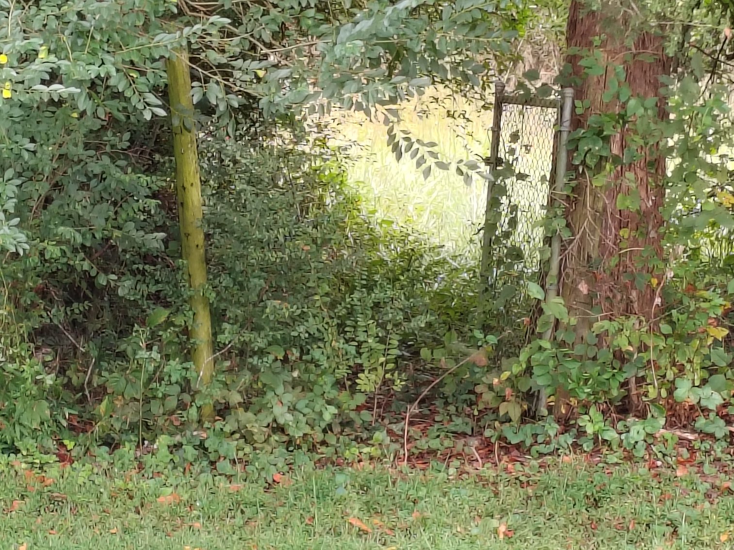 Image for Home For Sale in Dobson - 105 Pepperbush Trail