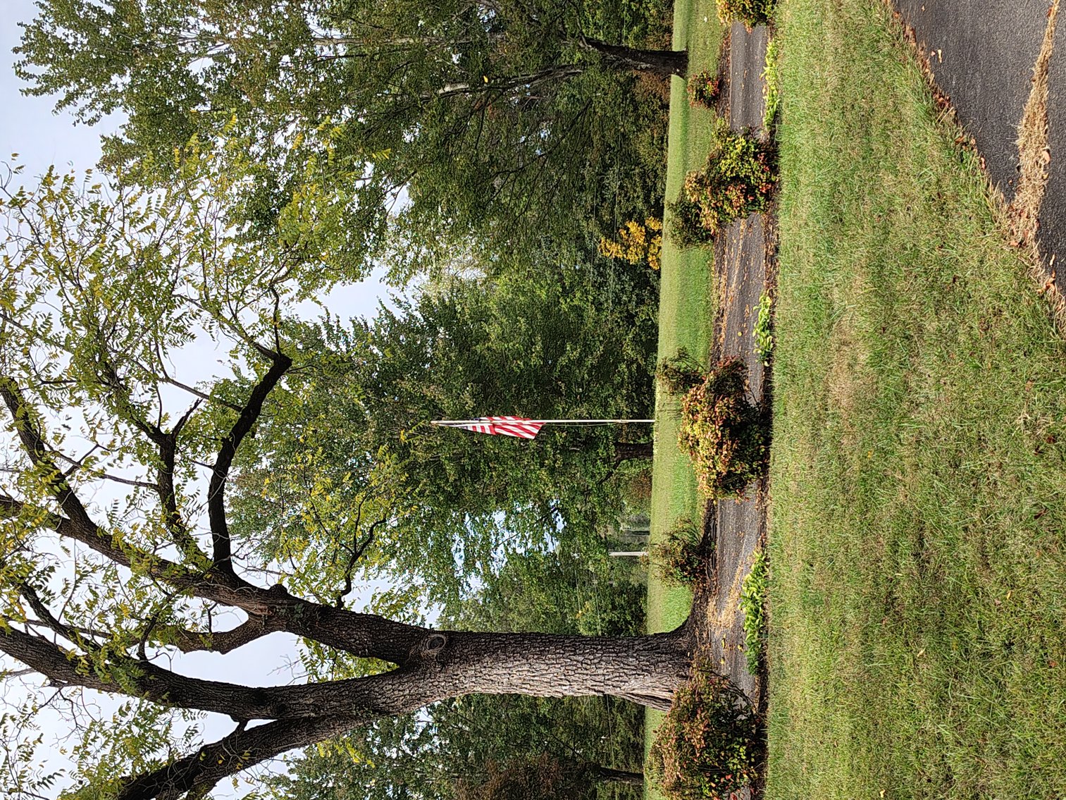 Image for Home For Sale in Dobson - 105 Pepperbush Trail