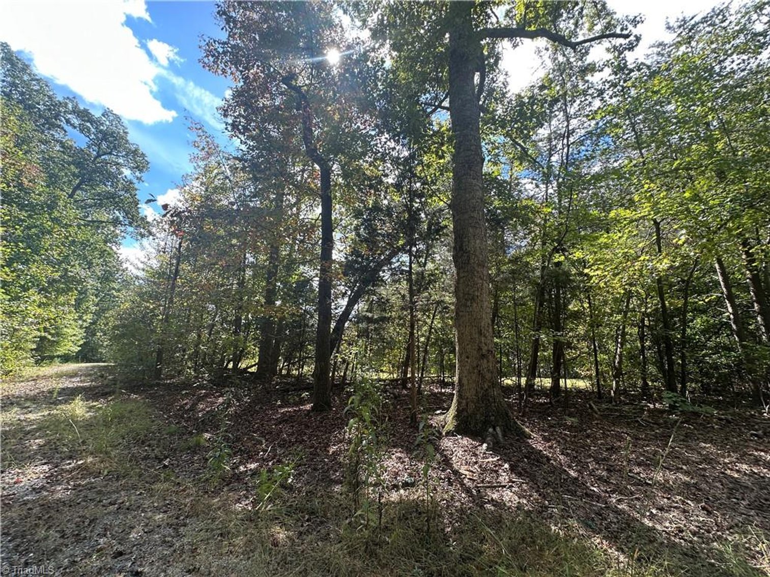 Image for Home For Sale in Oakridge - 8410 Linville Road