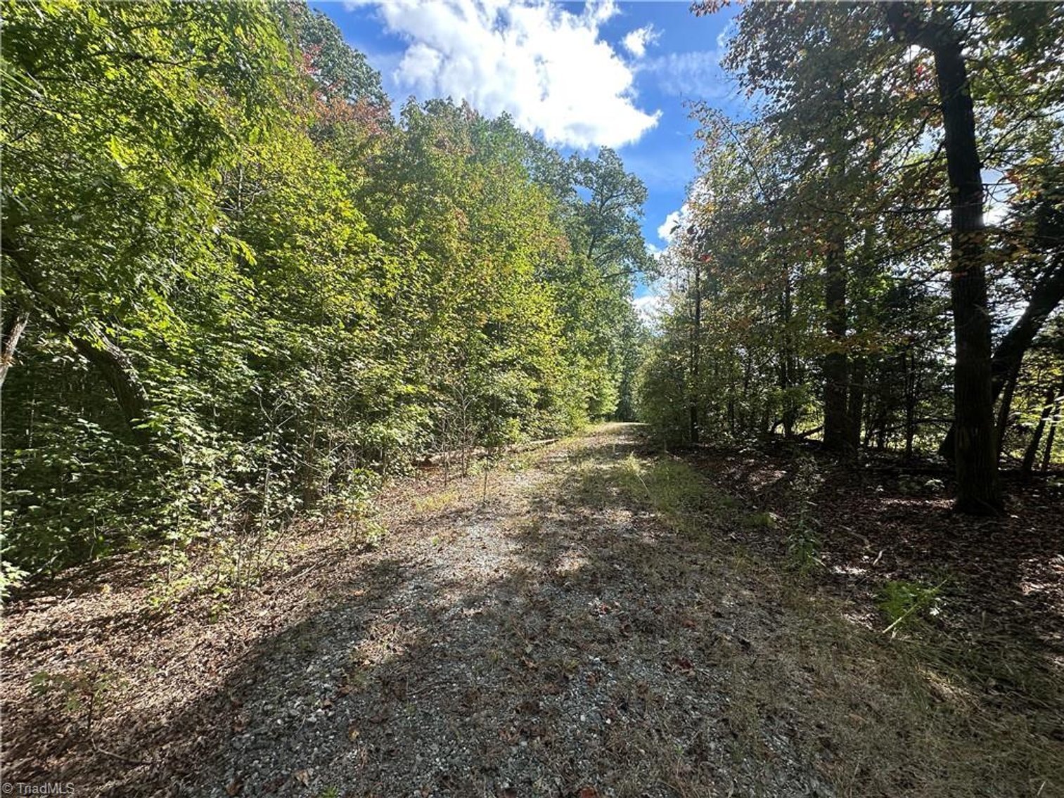 Image for Home For Sale in Oakridge - 8410 Linville Road