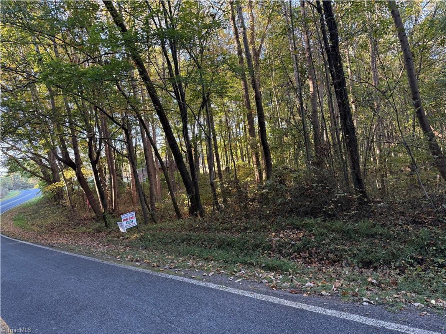Image for Land  For Sale in Elkin - TBD Cockerham Road