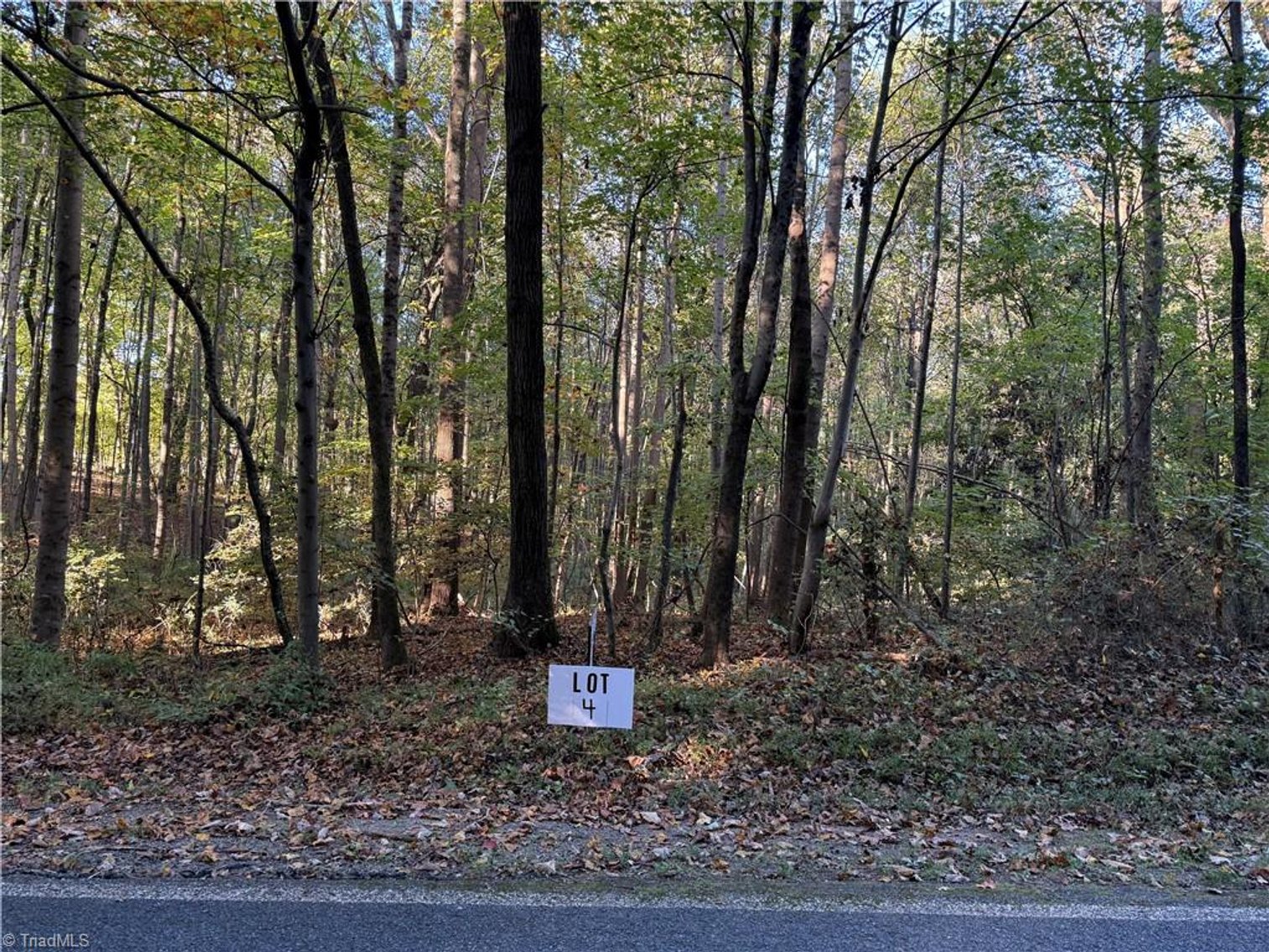 Image for Land  For Sale in Elkin - TBD Cockerham Road