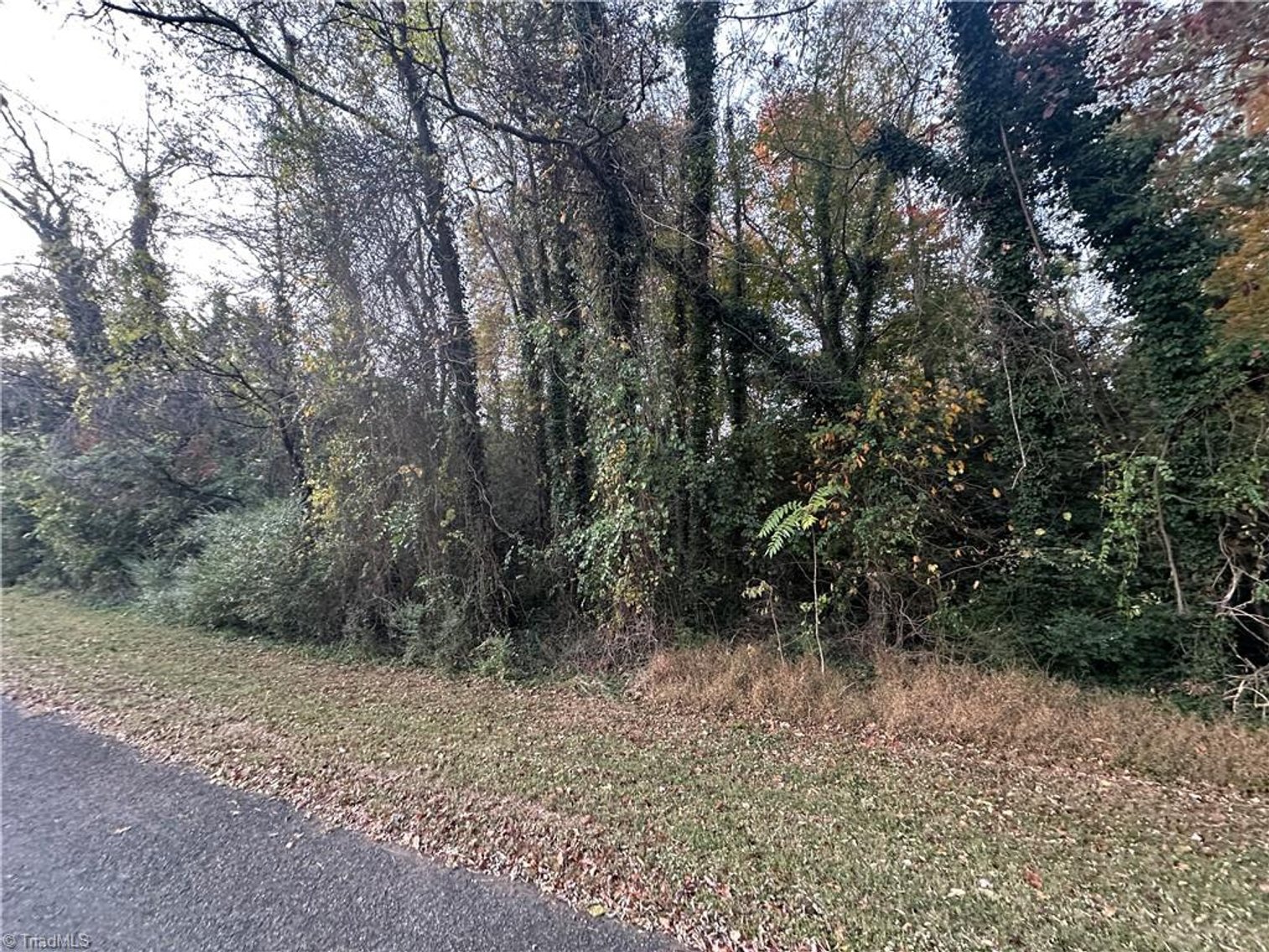 Image for Land For Sale in Mount Airy - 000 Old Childress Avenue