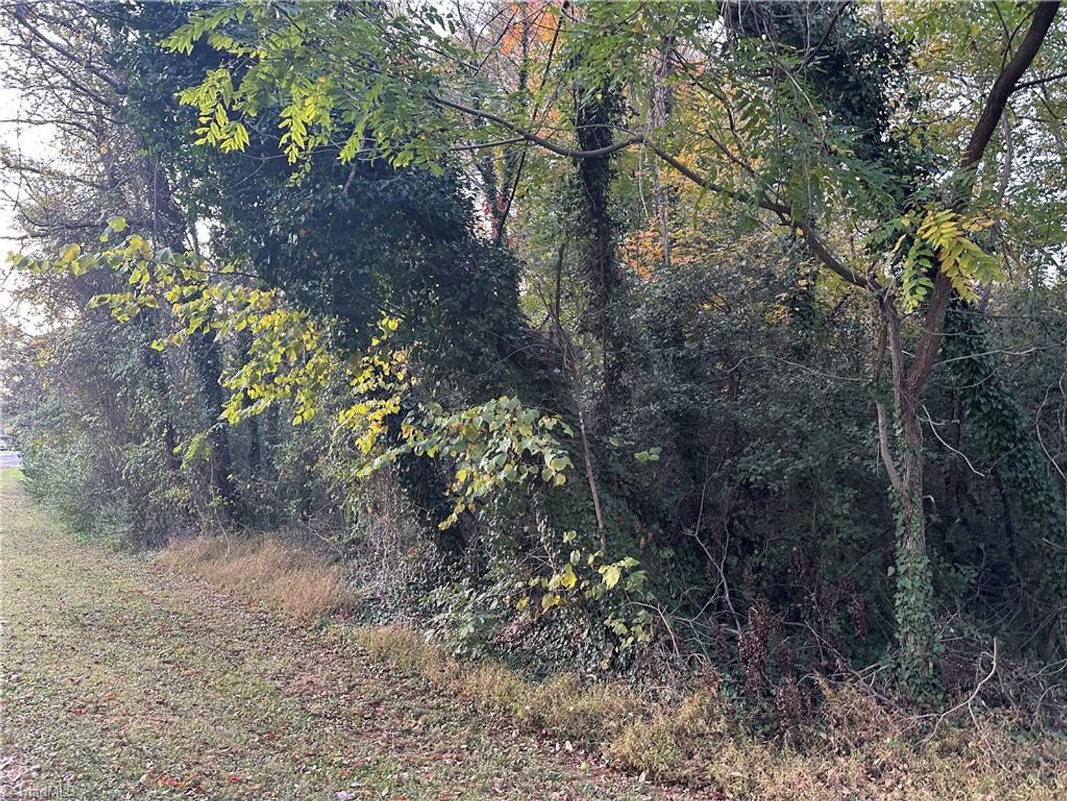 Image for Land For Sale in Mount Airy - 000 Old Childress Avenue