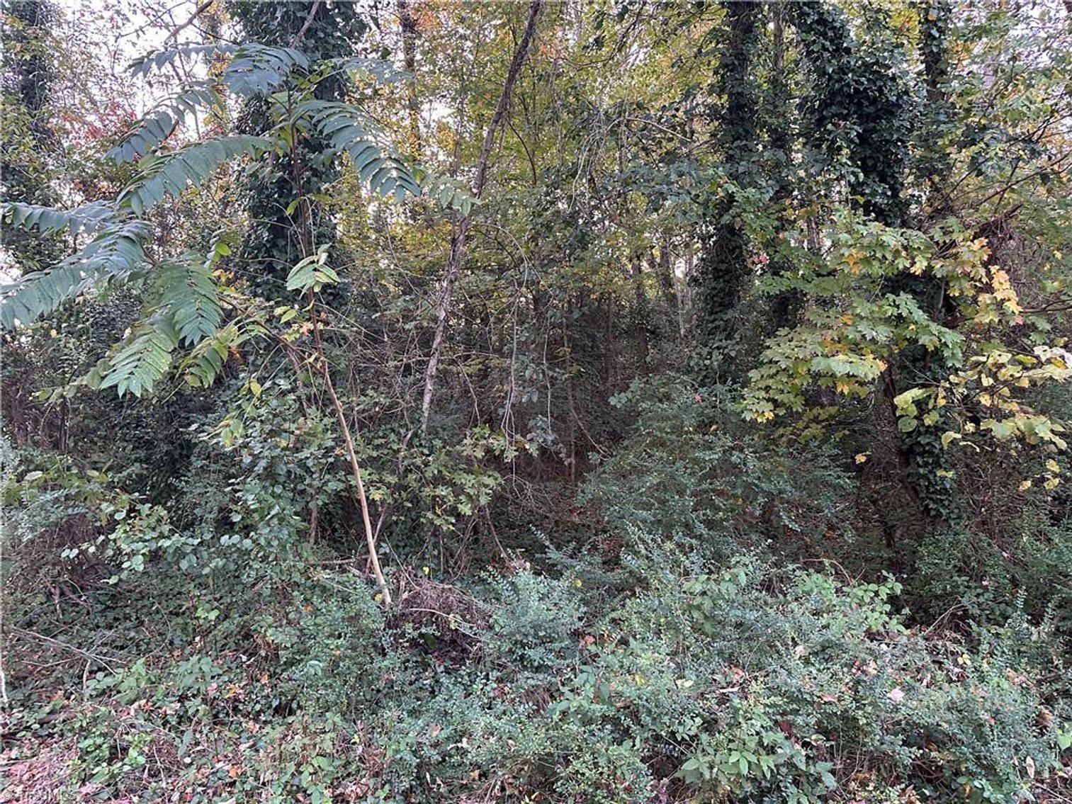 Image for Land For Sale in Mount Airy - 000 Old Childress Avenue