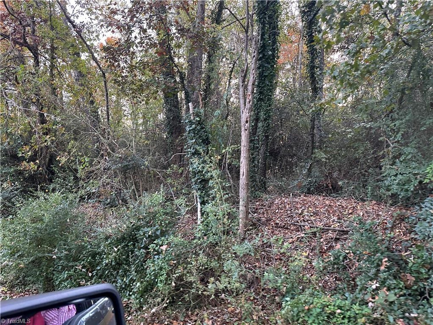 Image for Land For Sale in Mount Airy - 000 Old Childress Avenue