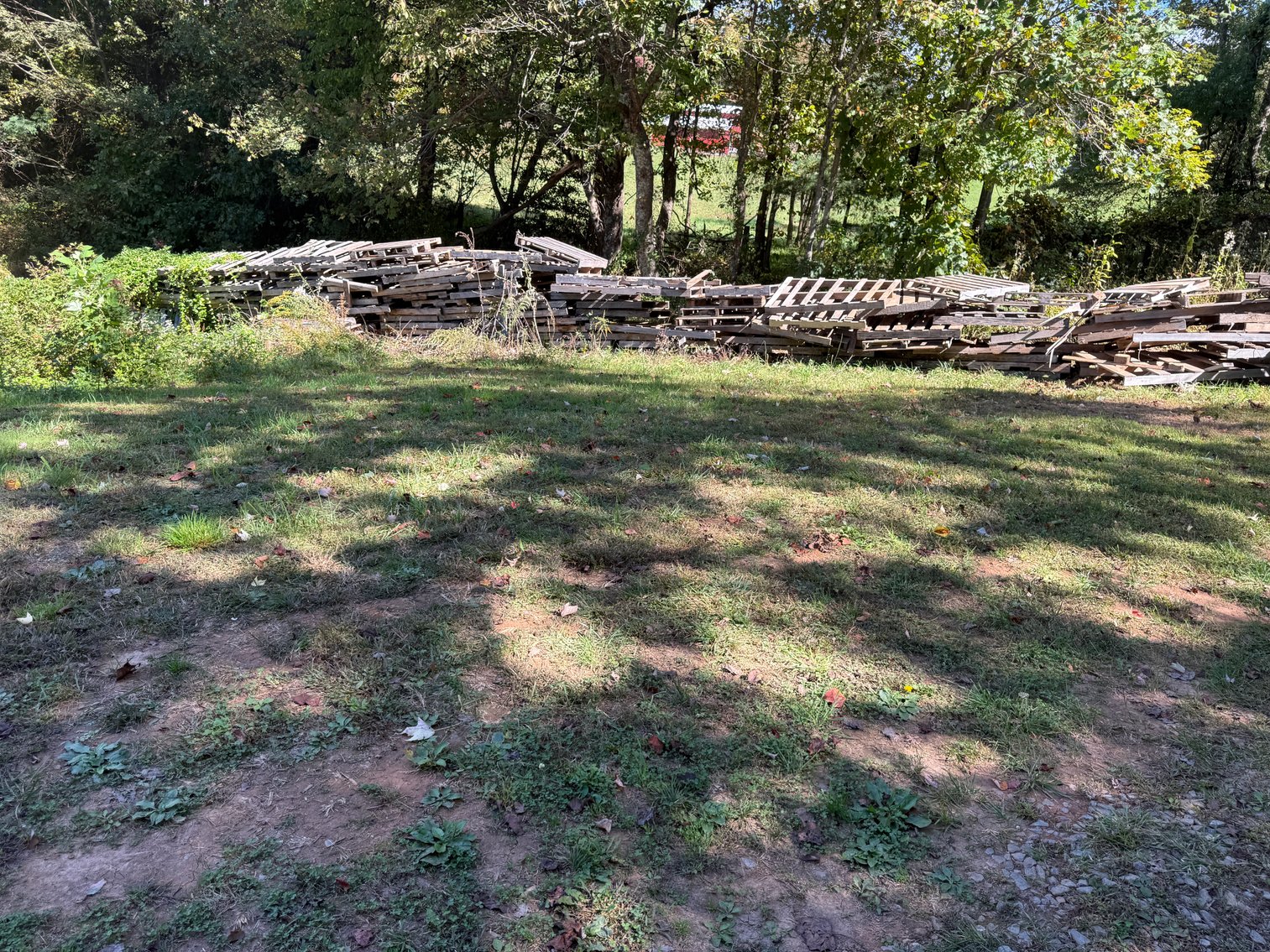 Image for Commissioner’s Sale: 23± Acres of Private Land with Mobile Home in Mount Airy, NC