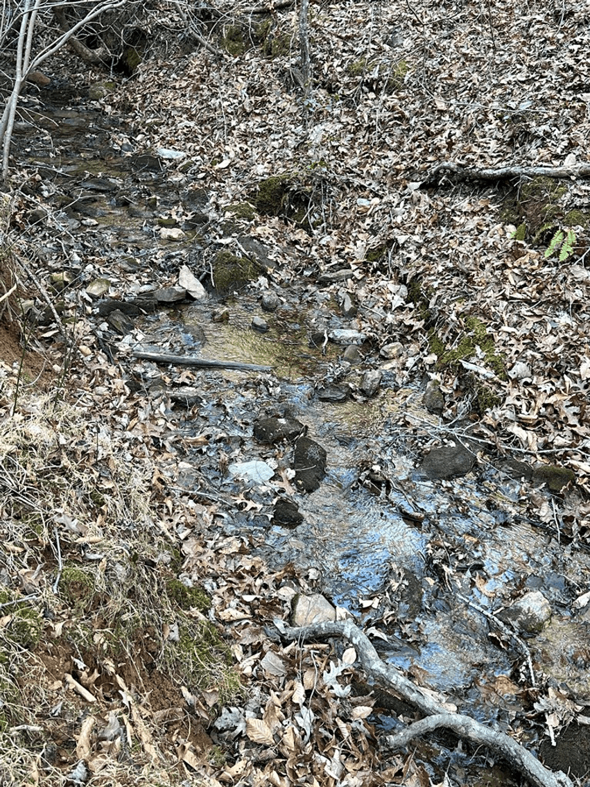 Image for Land For Sale in Ararat, Virginia - TBD Mitchells Mill