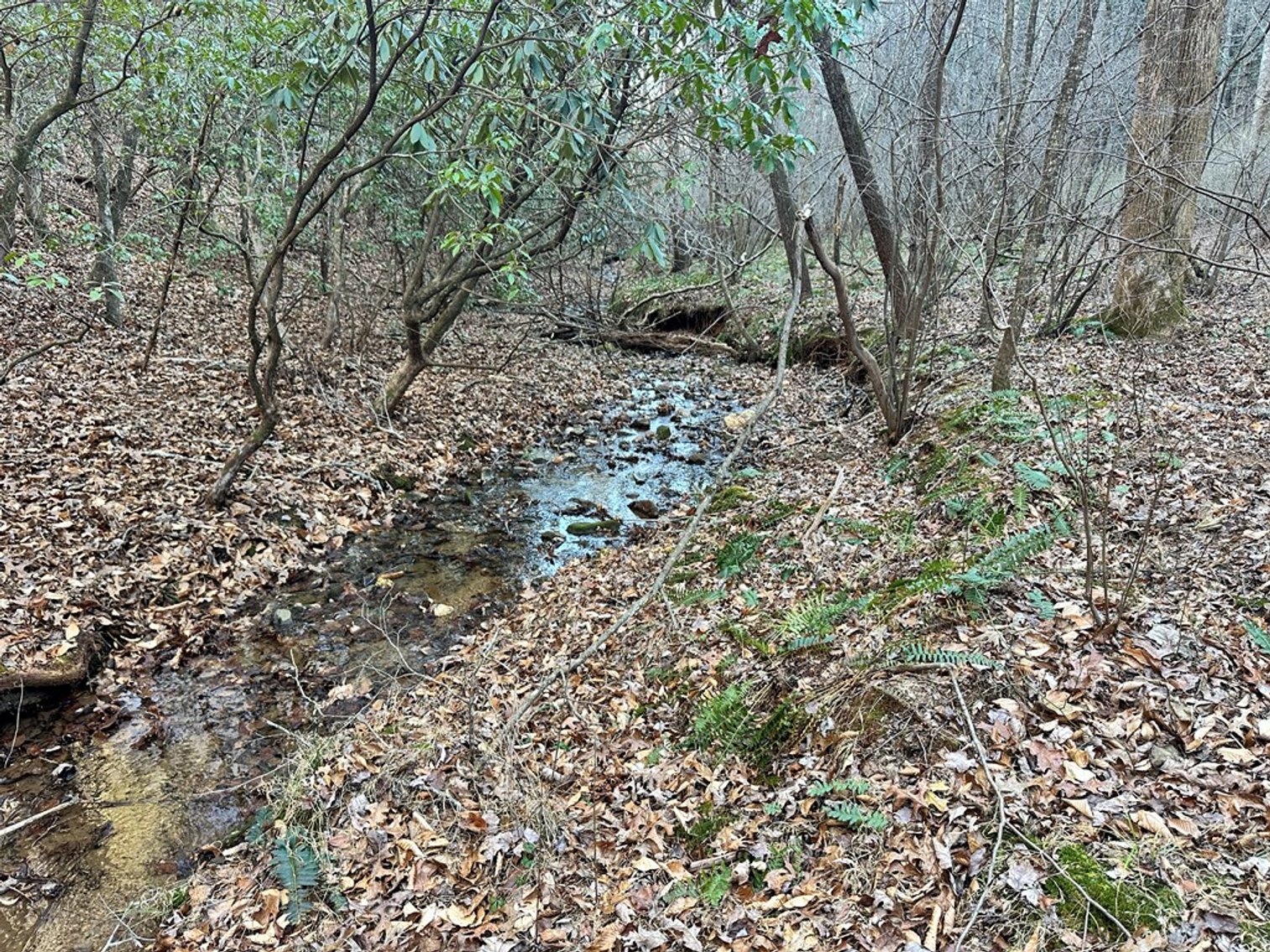 Image for Land For Sale in Ararat, Virginia - TBD Mitchells Mill