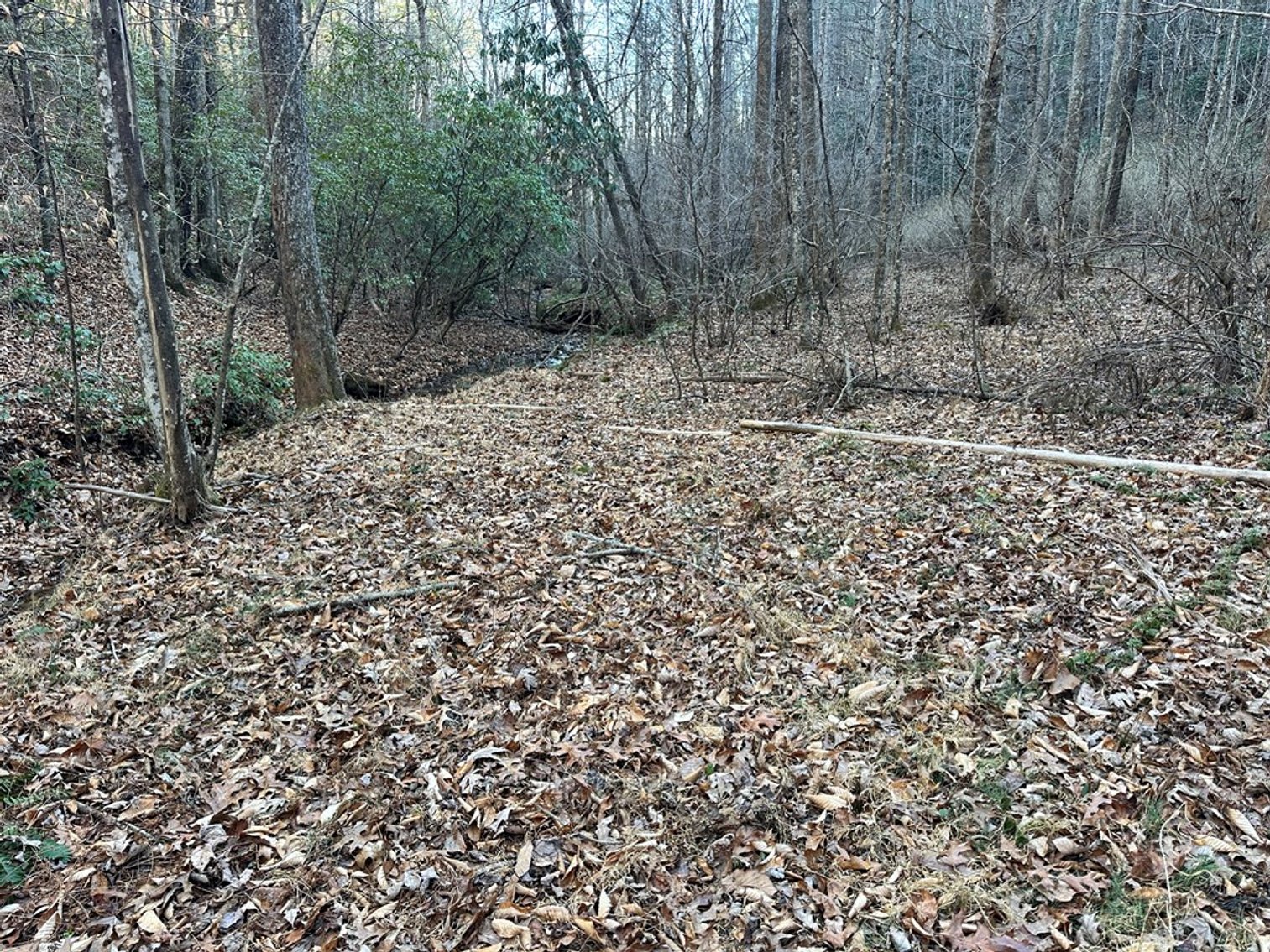 Image for Land For Sale in Ararat, Virginia - TBD Mitchells Mill