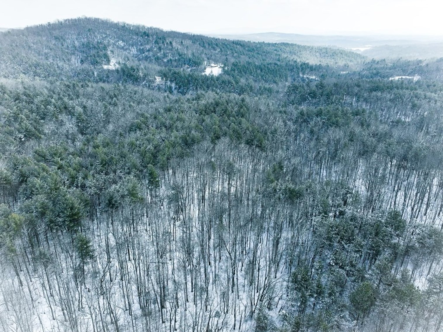 Image for Land For Sale in Ararat, Virginia - TBD Mitchells Mill