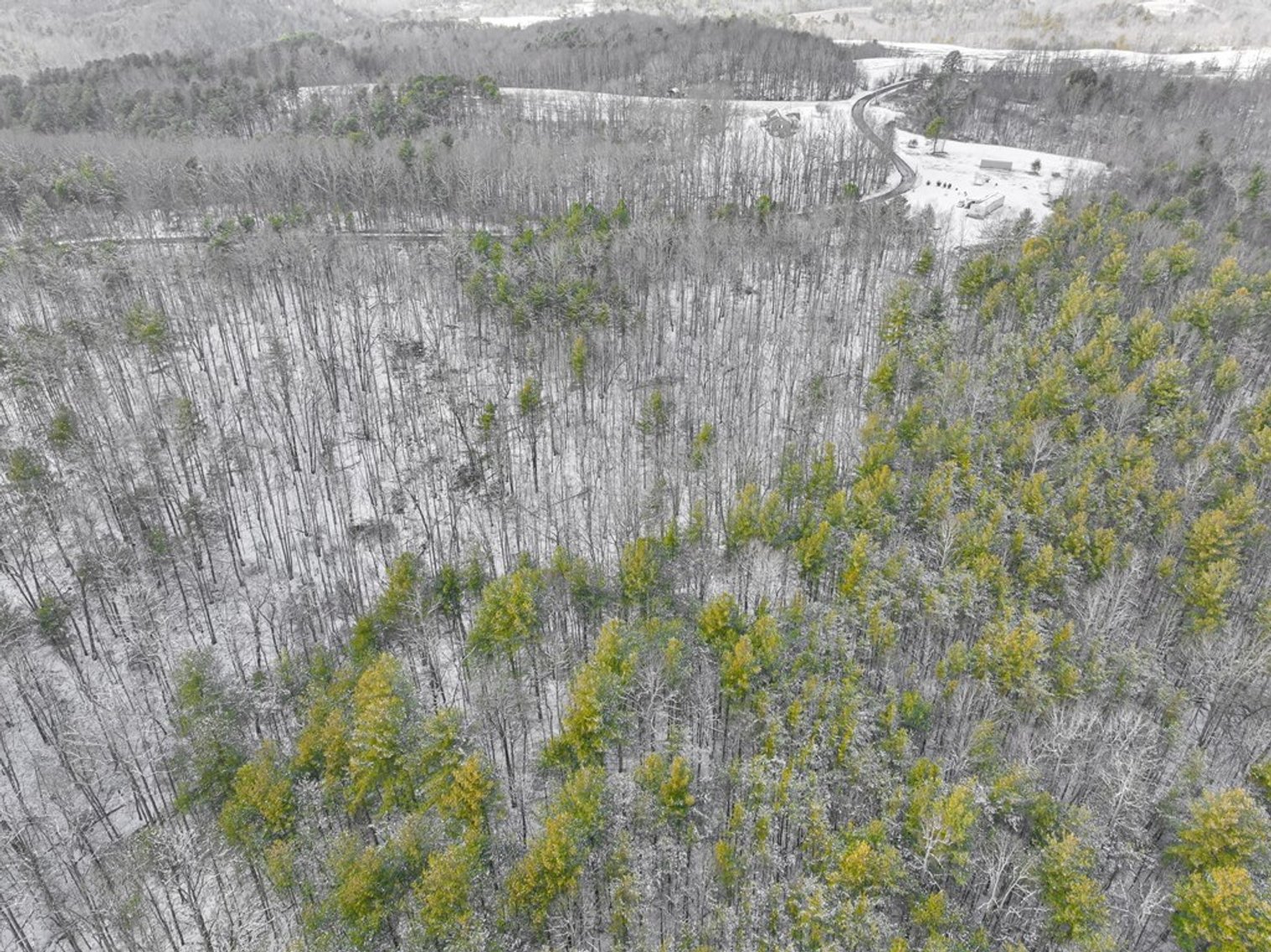 Image for Land For Sale in Ararat, Virginia - TBD Mitchells Mill