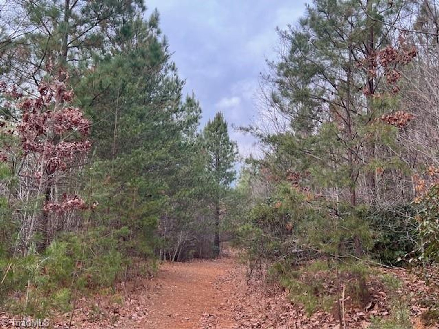 Image for Land For Sale in Lowgap, NC - TBD Tony Holder Road