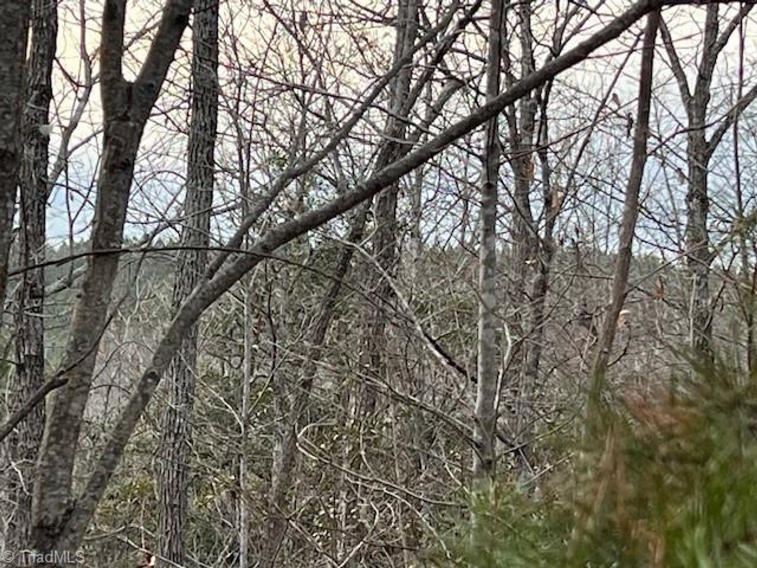 Image for Land For Sale in Lowgap, NC - TBD Tony Holder Road