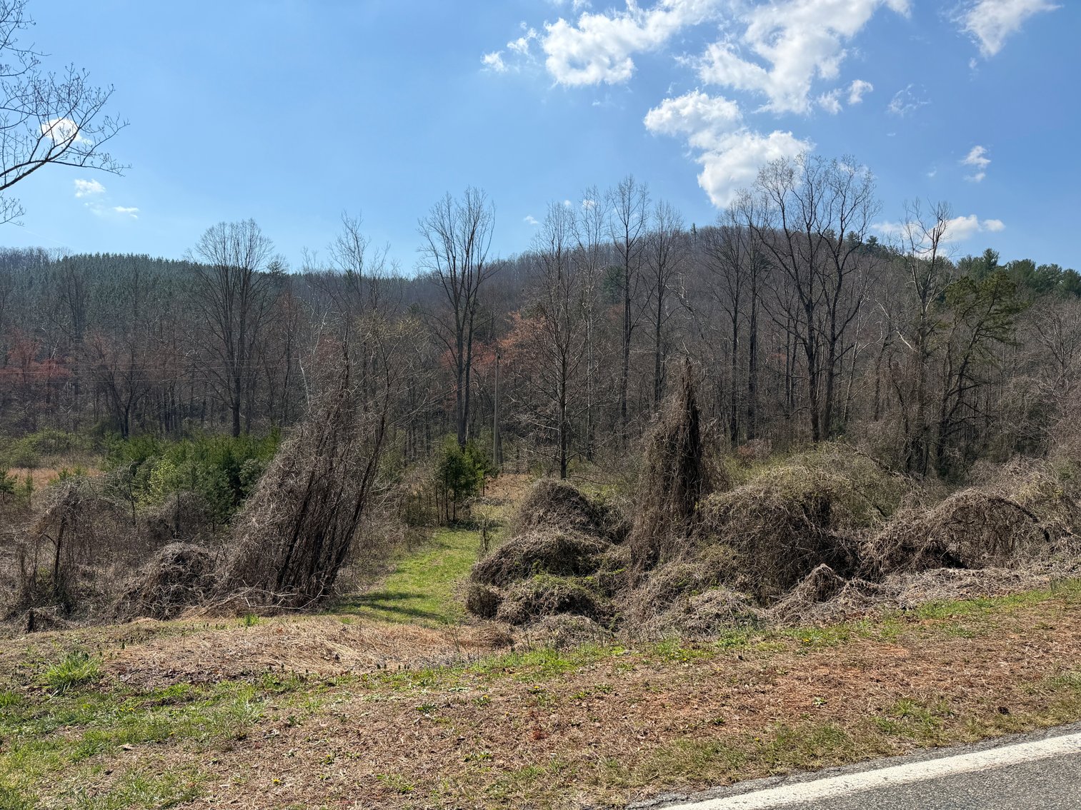 Image for Land For Sale in Lowgap, NC - TBD Old MIll Road