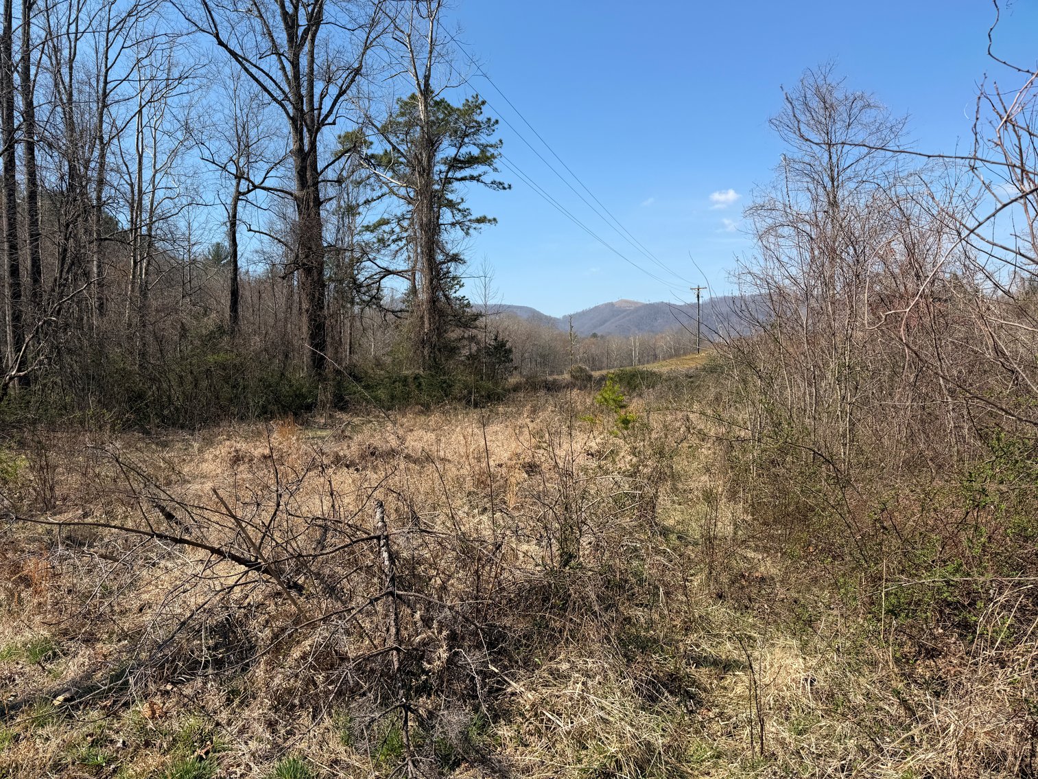 Image for Land For Sale in Lowgap, NC - TBD Old MIll Road