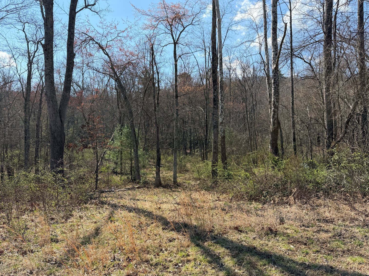 Image for Land For Sale in Lowgap, NC - TBD Old MIll Road
