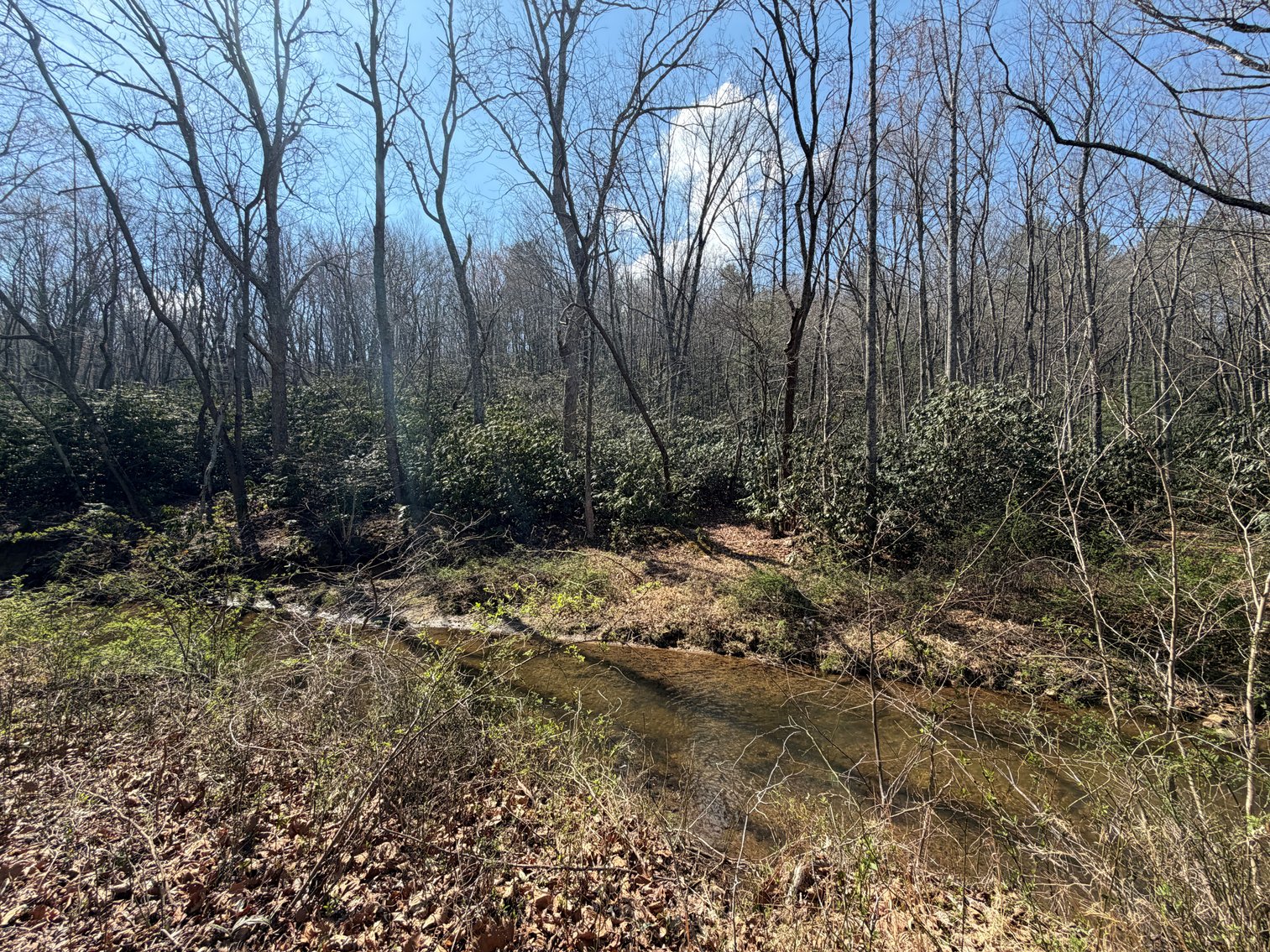 Image for Land For Sale in Lowgap, NC - TBD Old MIll Road