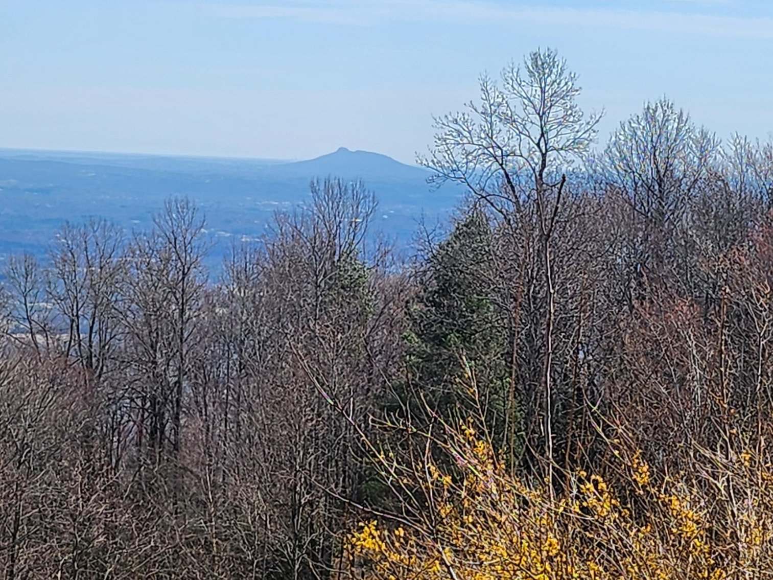 Image for Home For Sale in Fancy Gap, Virginia - 191 Panorama