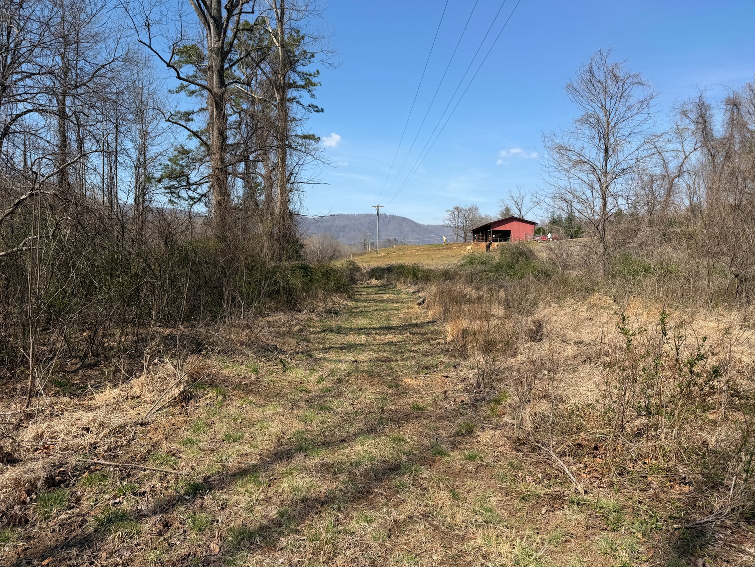 Image for Land For Sale in Lowgap, NC - TBD Old MIll Road
