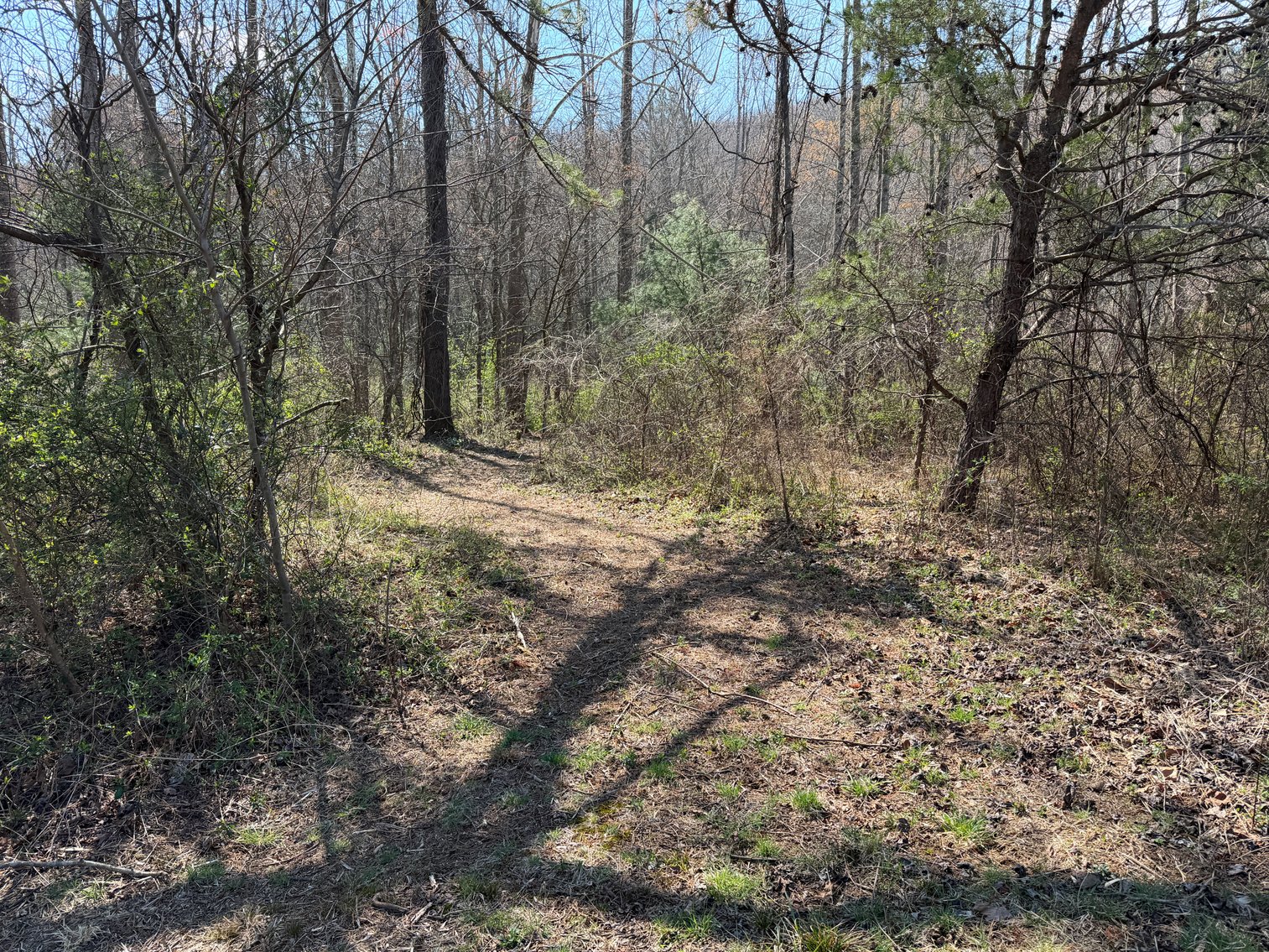 Image for Land For Sale in Lowgap, NC - TBD Old MIll Road