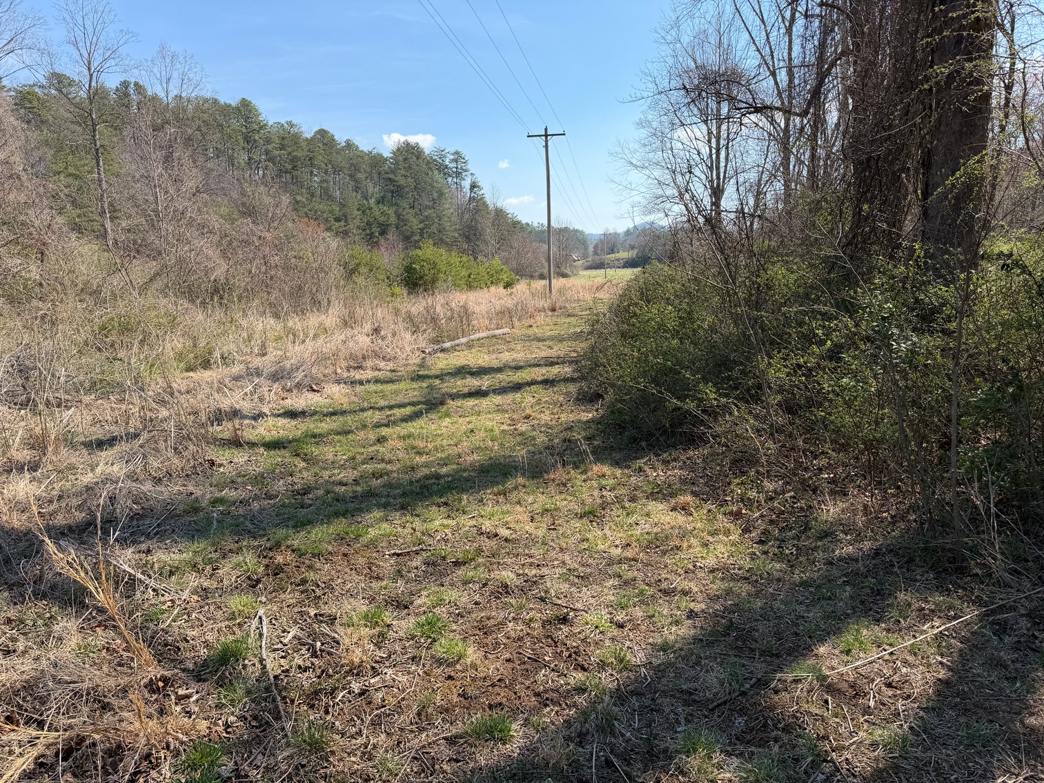 Image for Land For Sale in Lowgap, NC - TBD Old MIll Road