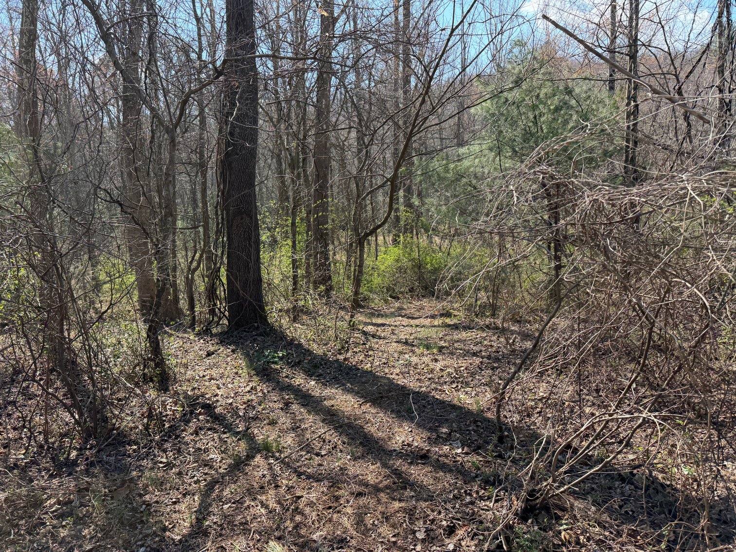 Image for Land For Sale in Lowgap, NC - TBD Old MIll Road