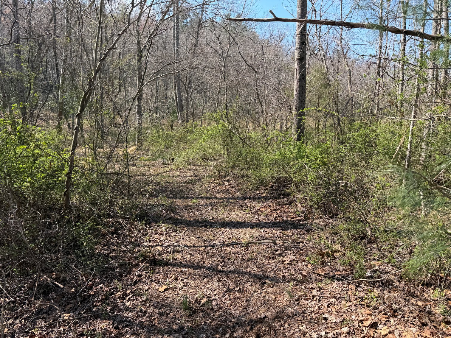 Image for Land For Sale in Lowgap, NC - TBD Old MIll Road