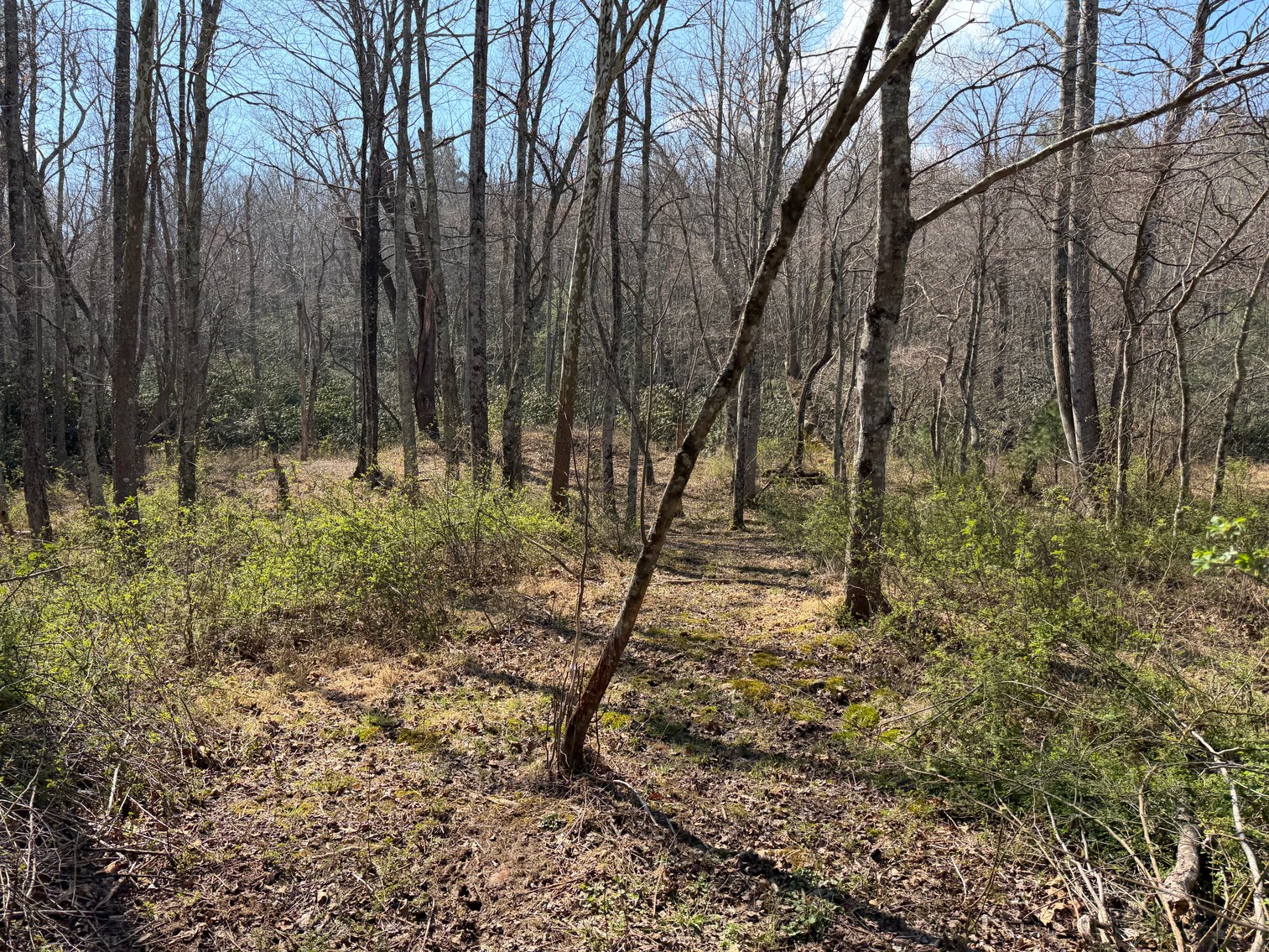 Image for Land For Sale in Lowgap, NC - TBD Old MIll Road