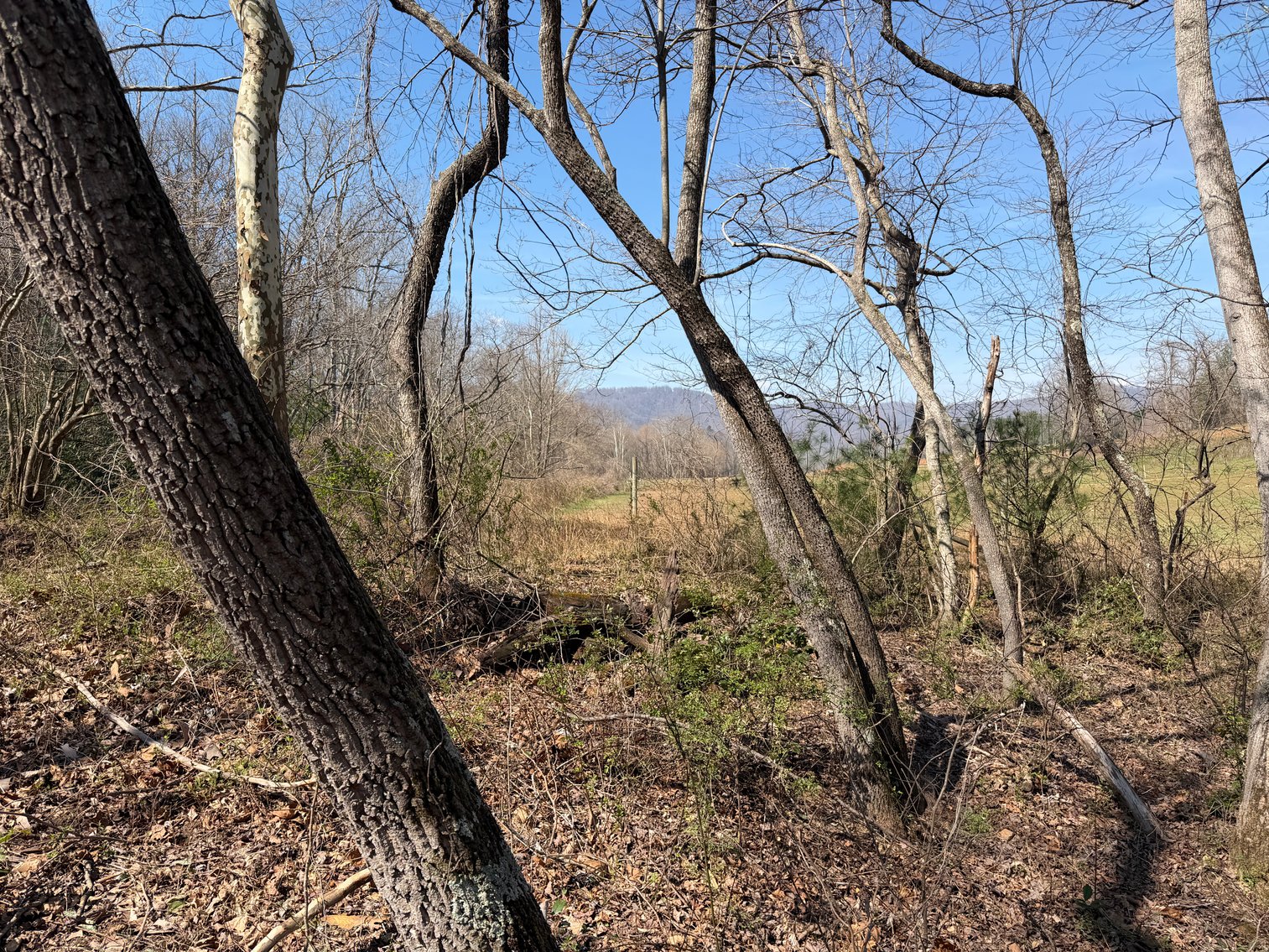 Image for Land For Sale in Lowgap, NC - TBD Old MIll Road