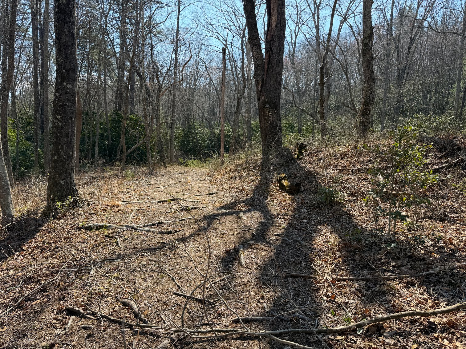 Image for Land For Sale in Lowgap, NC - TBD Old MIll Road