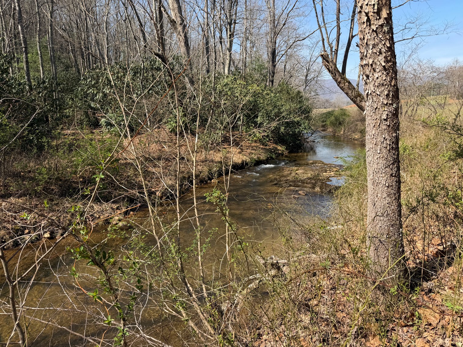 Image for Land For Sale in Lowgap, NC - TBD Old MIll Road