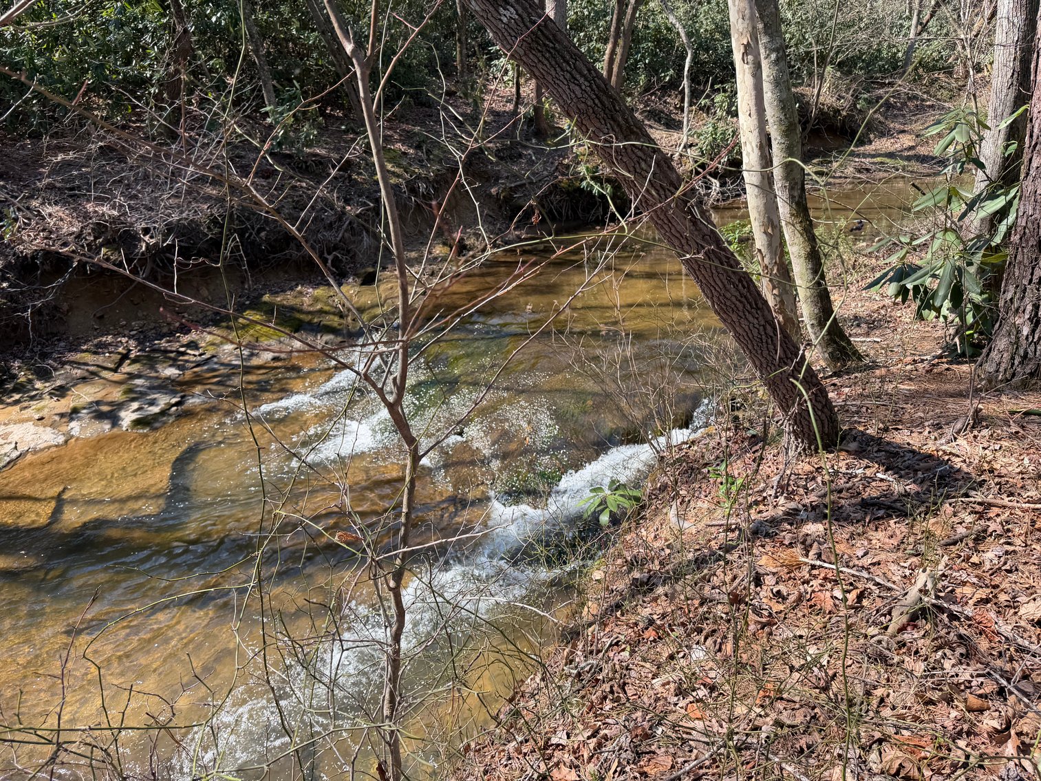 Image for Land For Sale in Lowgap, NC - TBD Old MIll Road