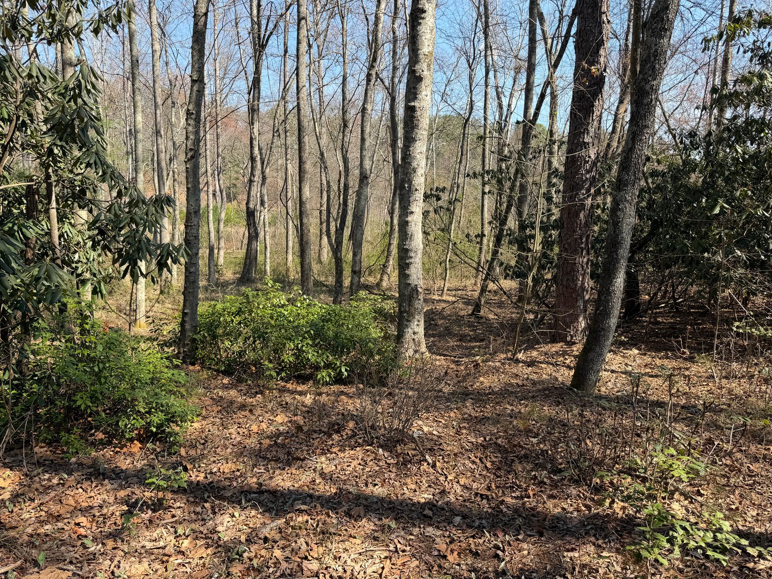 Image for Land For Sale in Lowgap, NC - TBD Old MIll Road